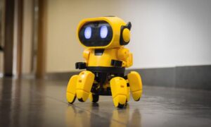 Toy and Education Fair